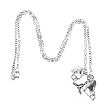 SOIMISS Eishockey Halskette mit Schlittschuh AnhäNger Unisex Schmuck für Eislaufen ZubehöR Und Hockey Fans Robuste Legierungskette Sportliche Halsreife für Damen Und Herren