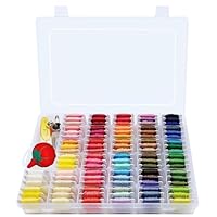 Algopix Similar Product 6 - Peirich Embroidery Floss Cross Stitch