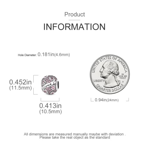 Image of MULA Birthstone Charms 925 Sterling Silver for Bracelets and Necklaces