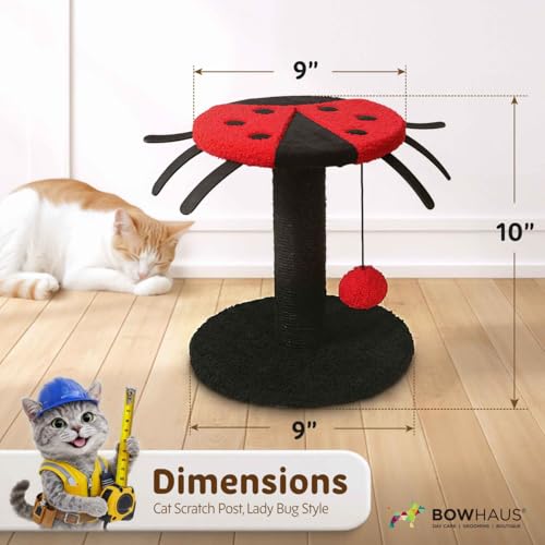 Rascador para gatos CAPHAUS estilo Mariquita 9x9x10 in miniatura 2