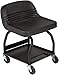 Whiteside Mechanic Seat, 480 lb, 24" H