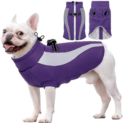 Dog Jackets for Medium Dogs, Reflective Dog Winter Coat, Dog Cold Weather Coats, Warm Dog Clothes, Waterproof Dog Puffer Jacket, Dog Coats Schnauzer Pug Jack Russel Boston Terrier, Purple M Dog Jackets for Medium Dogs, Reflective Dog Winter Coat, Dog Cold Weather Coats, Warm Dog Clothes, Waterproof Dog Puffer Jacket, Dog Coats Schnauzer Pug Jack Russel Boston Terrier, Purple M