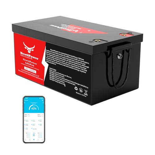 NewtiPower 36V 100Ah LiFePO4 Battery