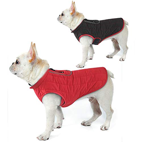 Vêtements pour petits chiens de taille moyenne veste hiver imperméable - 4