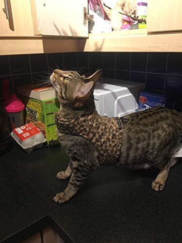 Mynwood - Giacca per gatti in pile leopardato per