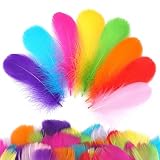 TLDBATICE 600 Stück Bunte Federn Zum Basteln, Bastelfedern Bunt für DIY Ohrring, Traumfänger, Handwerkskunst, 6~12cm Bunte Federn Basteln, Bastel Feder Bunt für Hochzeit, Ostern, Weihnachten
