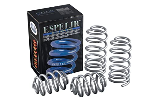 ESPELIR エスペリア　ダウンサス　フィアット500用 41m9jB5FjdL.jpg