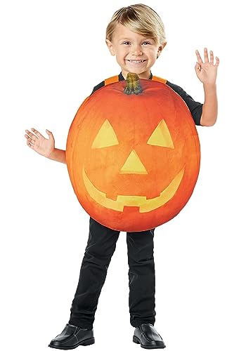Fun Costumes Toddler Classic Pumpkin Costume - 2T/4T - Orange