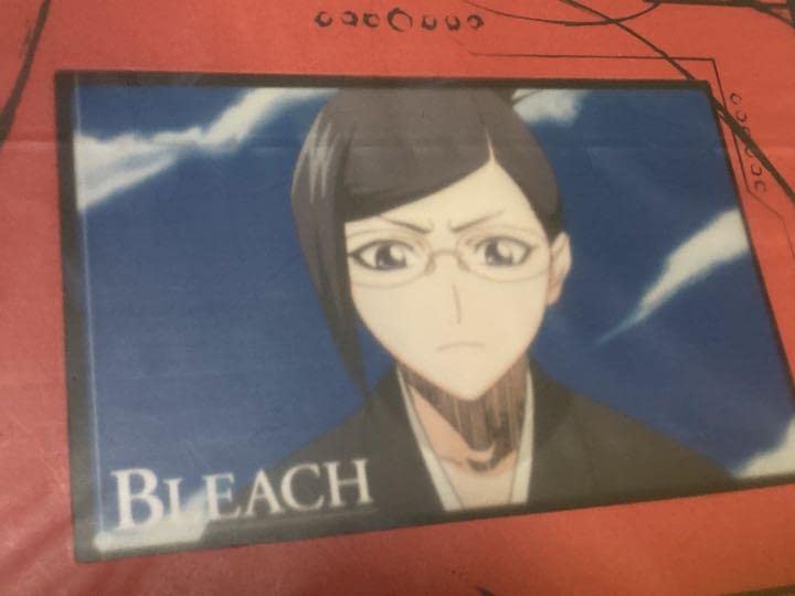 Amazon.co.jp: BLEACH ブリーチ 京楽春水 伊勢七緒 ツインフォト