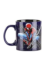 Spiderman Icon and Web