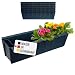 Produktbild Hossi's Wholesale 6 Euro-Paletten Blumenkästen-Einsätze | 37,3cm Anthrazit | Pflanzkasten für Europalette Palette | Balkonkasten | Blumentopf | aus stabilen Kunststoff | Made in Germany