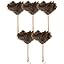 Natural-c-5pcs