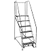 Rolling Ladder, Welded, Handrail, Platform 50In H