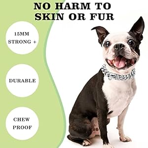 Stainless-Steel-Silver-Gold-Dog-Collars-with-Safety-Buckle-Lock18K-Cuban-Link-Chain-Training-Collar15MM-Strong-Dog-Necklace-Heavy-Duty-Chew-Proof-for-Small-Medium-Large-Dog - Cucciolini Doodles Stainless-Steel-Silver-Gold-Dog-Collars-with-Safety-Buckle-Lock18K-Cuban-Link-Chain-Training-Collar15MM-Strong-Dog-Necklace-Heavy-Duty-Chew-Proof-for-Small-Medium-Large-Dog