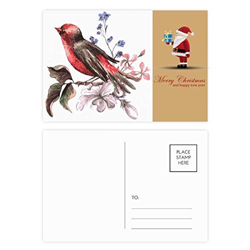 Cartes postales père Noël Branch Birds lot de 20 correspondance hiver
