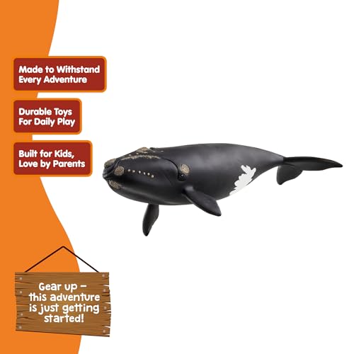 Schleich Wild Life | Balenottera Nera Dell’Atlantico Del Nord 14878 | Figura Animale Realistica | Giocattolo Educativo Zoo | Idea Regalo Bimbi | Decorazione Compleanno | Dai 3 Anni | 19 X 10 X 5 Cm - 2