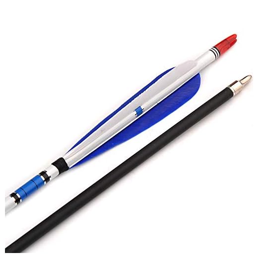 ANTSIR 30 Inch Mixed Carbon Arrow with 5" Blue Turkey Feather and Changeable Head Spine 500 for Archery Hunting Shooting
