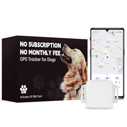 GPS Tracker for Dogs No Subscription