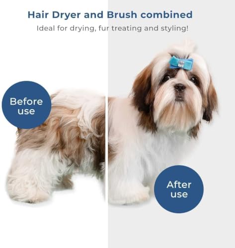 Image of 2 in 1 Pet Hair Dryer Brush for Dogs & Cats | Pet Grooming Slicker Brush with Adjustable Heat | Low Noise Deshedding Dryer Brush for Small, Medium & Large Pets | One Hand Grooming Tool