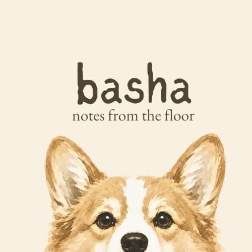  basha. notes from the floor.