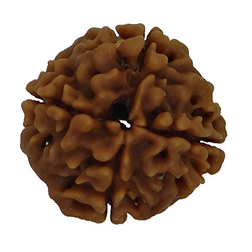Image of Arihant Gems and Jewels 4 Mukhi Nepali Rudraksha | Natural & Certified | Astrological Four-Faced Rudraksha for Positive Energy | Unisex for Men & Women