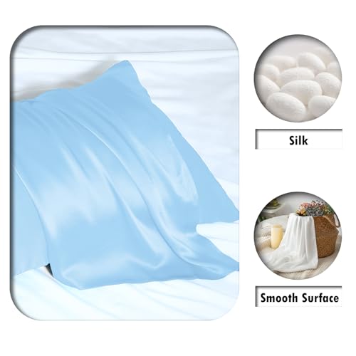 Silk Pillow Cases 2 Pack Soft Breathable and Sliky Standard Size Pillow Cases Set of 2,Natural Mulberry Satin Silk Pillowcase with Hidden Zipper for Hair and Skin (Sky Blue,20"X 26",2pcs)