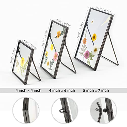 Set Of 3 Glass Pressed Flowers Frame, Vintage Black Floating Picture Frames Collection 4" X 4", 4" X 6", 5" X 7", Metal Tabletop Standing Glass Floating Picture Frame Home Decor Artwork Photo Display #TOP6