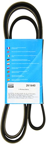 Mapco 261840 - Cinghia Poly-V