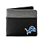 Detroit Lions