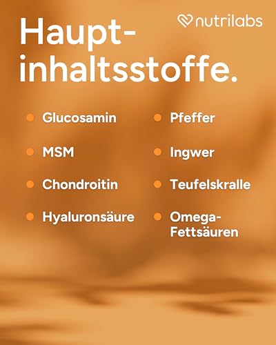 NutriLabs Canicox-HD Gelenksaft für Hunde 1L - mit MSM, Chondroitin, Hyaluronsäure, Glucosamin & Teufelskralle - Gesundheitsprodukte für Hunde - Nahrungsergänzungsmittel Hund