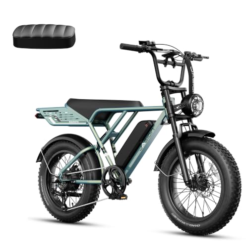 Jasion RetroVolt Pro Electric Bike for Adults...