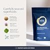 Infinity Wellness Proteína Vegetal en Polvo Verdadera, Proteína Orgánica de Cáñamo y Arroz Integral con Enzimas y Nopal Cactus, Vegana, Sin Azúcar, Sin Soja, Sin Suero, No GMO (580g) 6