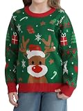 Saodimallsu Pull de Noël Famille Ensemble Col Rond Manches Longues Noël Pull Tricoté Homme Femme Enfant Motif Renne Pull Hiver Chaud Noël Sweater, B Vert pour Enfants, 7 8 Ans