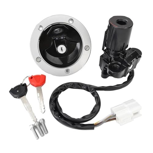 Verrou de commutateur d'allumage de gaz de carburant neiman EX650 ER6