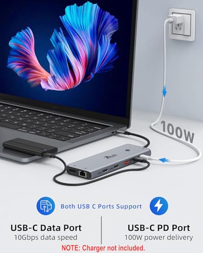undefined 13 in 1 USB C Docking Station - Dual Monitor, Triple Display, 8 USB C/A Ports, Ethernet, Audio - LIONWEI USB C Hub for MacBook,Dell,HP,Lenovo,Surface の商品画像 4