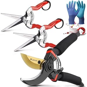 Kynup Gartenschere Set, Edelstahl Baumscheren & Gartenscheren, Pflanzenschere Bypass für Äste, Pflanzen, Obst, Ergonomische Garten Rosenschere, Max 25mm Schneiddurchmesser