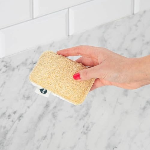 Estropajo Ecológico SEEP - Esponja de Cocina Compostable - Esponjas Naturales Hechas con Estropajo de Lufa – Esponja de Limpieza – Estropajo Natural - Paquete múltiple de 4 – Productos Ecológicos - imagen 5