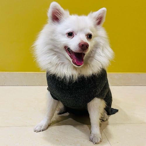Image of Lulala Dog Sweater Turtleneck Knitwear for Large Dogs, Warm Cable Knit Autumn Coat, Cold Weather Pet Clothes for Boys and Girls (14-Inch, Light Grey)