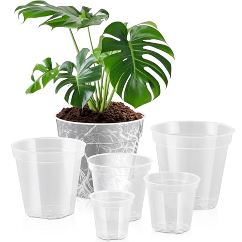 Vesici 6-pack: clear nursery pots in 4–9 inch sizes