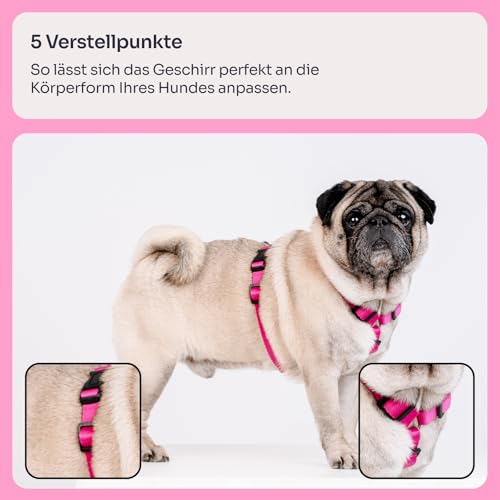 Chaba Guard Hundegeschirr für mittelgroße Hunde mit Kontrolle, Anti-Zug & Würgen, Verstellbar, Komfortabel und Leicht, Classic Step-in Brustgeschirr, Laufgeschirr, Dog Harness, Größe L, Fuschia