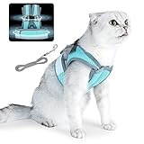 Dotoner Cat Harness and Leash Escape Proof Adjustable Vest for Cats Cat Walking Jacket with Air Mesh
