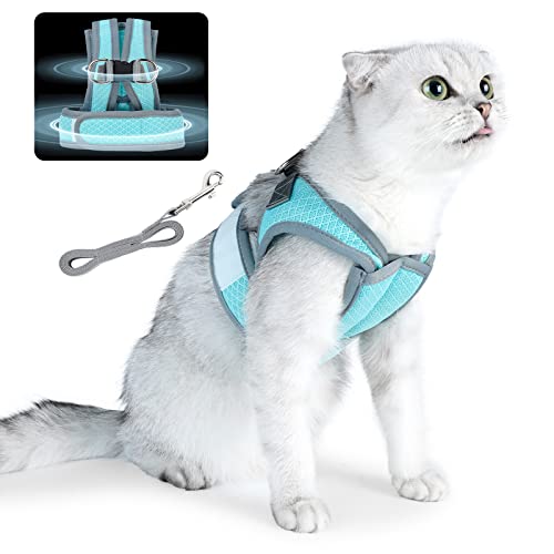 Dotoner Cat Harness And Leash Escape Proof Adjustable Vest For Cats Cat Walking Jacket With Air Mesh Harness And Running Cushioning Easy Control Outdoor Vest Lake Blue #TOP2