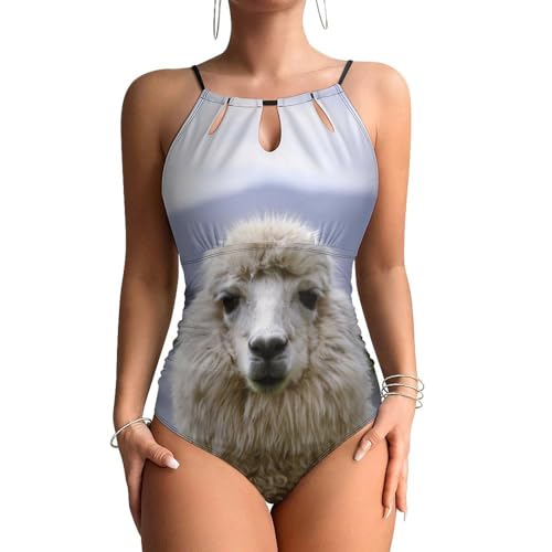 Maillot de bain une pièce femme Alpaga monokini beachwear gainant