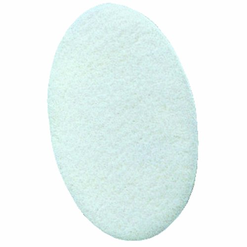 �V�Q�}�c(�d�����쏊) �y�C���g���C�g S 10��