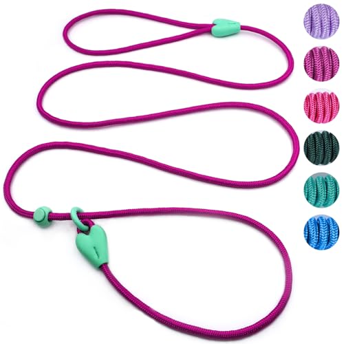 Dog Training Leash Slip Leads for Dogs 6 FT Slip Leash for Dogs Dog Lead with 6 Colors Strong Nylon No Pull Rope Dog Leash Dog Leashes for Small Medium Dogs (Rose Red) Dog Training Leash Slip Leads for Dogs 6 FT Slip Leash for Dogs Dog Lead with 6 Colors Strong Nylon No Pull Rope Dog Leash Dog Leashes for Small Medium Dogs (Rose Red)