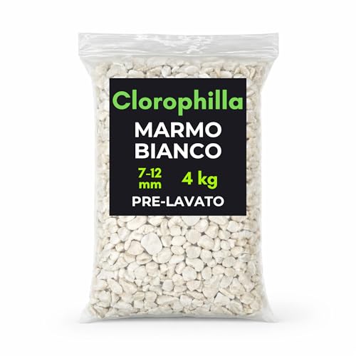 Ghiaia Bianca Decorativa 7–12 mm Pre-lavata – Sassolini per Vasi