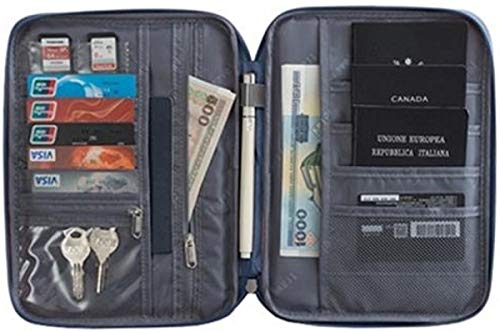 Carteira Porta Passaporte Pasta Organizador Com Divisórias Tamanho Familia p/Viagem (Cinza)