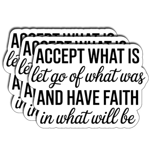 (3Pcs) Accept What is let go Sticker Funny Sarcastic in Vinyl Die-Cut Waterproof Stickers for Laptop Water Bottle Phone Case Tumbler Kindle Hard Hat Quote Decal Gifts Size 2.3" x 3"