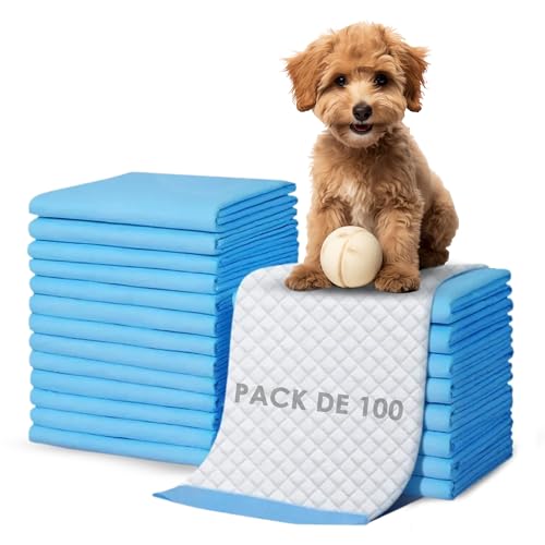 GeoEcosHS®️ Empapadores Perros Pack de 100 Unidades de 60x60 cm | Empapadores Súper Absorbentes y Resistente a Fugas.