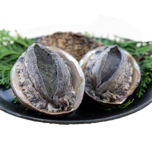 活黒あわび(養殖)